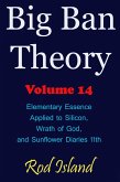 Big Ban Theory: Elementary Essence Applied to Silicon, Wrath of God, and Sunflower Diaries 11th, Volume 14 (eBook, ePUB)