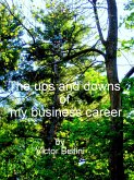 The Ups And Downs Of My Business Career (eBook, ePUB) The Ups And Downs Of My Business Career (eBook, ePUB)