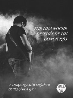 Fue una noche después de un concierto, Y otros relatos eróticos de temática gay (eBook, ePUB) - Sanz, Marcos