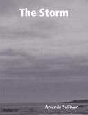 The Storm (eBook, ePUB)