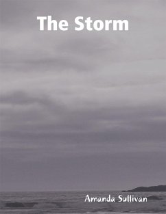 Cover The Storm (eBook, ePUB)