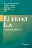 EU Internet Law