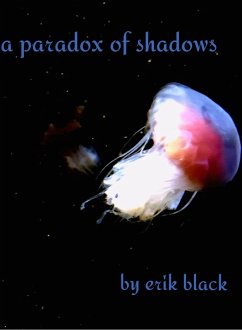 Cover A Paradox of Shadows (eBook, ePUB)