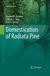 Domestication of Radiata Pine - Bild 1