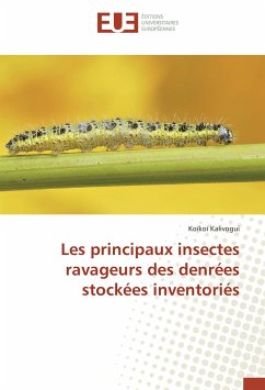 Les principaux insectes ravageurs des denrées stockées inventoriés - Kalivogui, Koïkoï