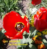 Free Moments (eBook, ePUB)