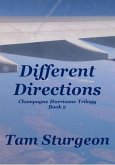 Different Directions - The Champagne Hurricane Trilogy - Book 2 (eBook, ePUB)