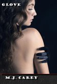 Glove (eBook, ePUB)