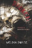 Broken: Stories of Damaged Psyches (eBook, ePUB) Broken: Stories of Damaged Psyches (eBook, ePUB)