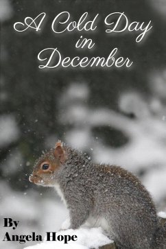 A Cold Day in December (eBook, ePUB) - Hope, Angela