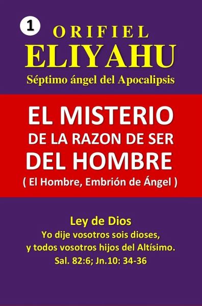El Misterio de la Razón de Ser del Hombre (El Hombre, Embrión de Ángel) (eBook, ePUB)