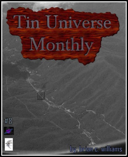 Tin Universe Monthly #8 (eBook, ePUB)