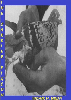 The Carrier Pigeon (eBook, ePUB) - Willett, Thomas M.