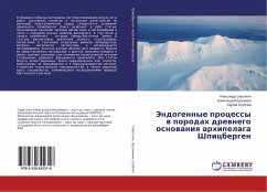 Jendogennye processy w porodah drewnego osnowaniq arhipelaga Shpicbergen - Sirotkin, Alexandr;Evdokimov, Alexandr;Skublov, Sergej