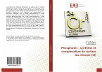 Phosphates : synthèse et complexation de surface du chrome (VI)