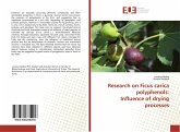 Research on Ficus carica polyphenols: Influence of drying processes