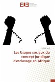 Les Usages sociaux du concept juridique d'esclavage en Afrique