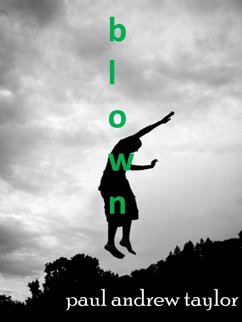 Cover Blown (eBook, ePUB)