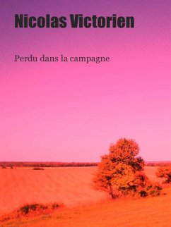 Cover Perdu dans la campagne (eBook, ePUB)