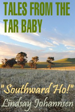 Cover Tales From The Tar Baby 