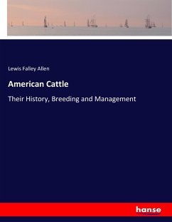 American Cattle