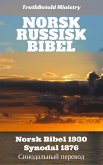Norsk Russisk Bibel (eBook, ePUB)