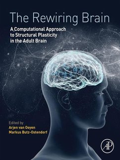 The Rewiring Brain (eBook, ePUB)