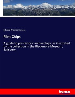 Flint Chips - Stevens, Edward Thomas