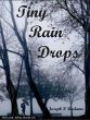 Tiny Rain Drops (eBook, ePUB) - Bild 1