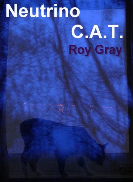 Neutrino C.A.T. (eBook, ePUB)