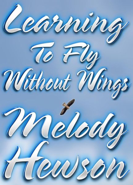 Learning To Fly Without Wings (eBook, ePUB)