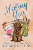 Meeting You (eBook, ePUB) Meeting You (eBook, ePUB)