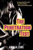 The Penetration Test (eBook, ePUB)