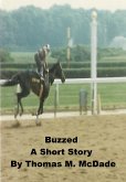 Buzzed (eBook, ePUB)