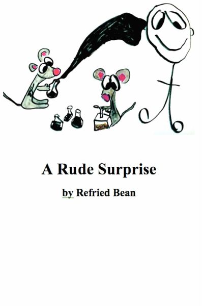 A Rude Surprise (eBook, ePUB)