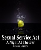 Sexual Service Act: A Night At The Bar (eBook, ePUB)
