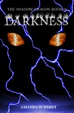 Shadow Dragon (Book 3): Darkness (eBook, ePUB)