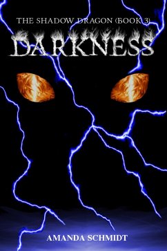 Shadow Dragon (Book 3): Darkness (eBook, ePUB) - Schmidt, Amanda