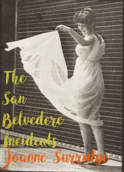Cover The San Belvedere Incidents (eBook, ePUB)