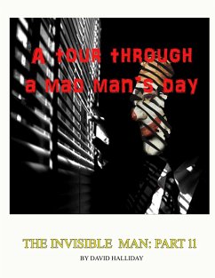 A Tour Through A Mad Man's Days (The Invisible Man, #11) (eBook, ePUB) - Halliday, David