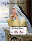 Divine Mercy in My Soul (eBook, ePUB)