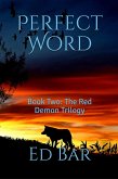 Perfect Word (eBook, ePUB)