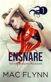 Ensnare: The Passenger’s Pleasure #1: Paranormal Demon Romance (eBook, ePUB)