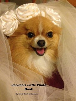 JooJoo's Little Photo Book (eBook, ePUB) - Streit, Sandy