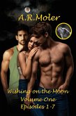 Wishing on the Moon Vol. 1 (eBook, ePUB) Wishing on the Moon Vol. 1 (eBook, ePUB)