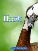 Honk (eBook, ePUB)