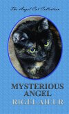 Mysterious Angel (Angel Cat Collection, #2) (eBook, ePUB)