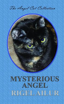 Cover Mysterious Angel (Angel Cat Collection, #2) (eBook, ePUB)