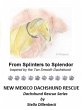 From Splinters to Splendor (eBook, ePUB) - Bild 1