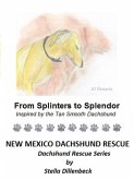 From Splinters to Splendor (eBook, ePUB)
